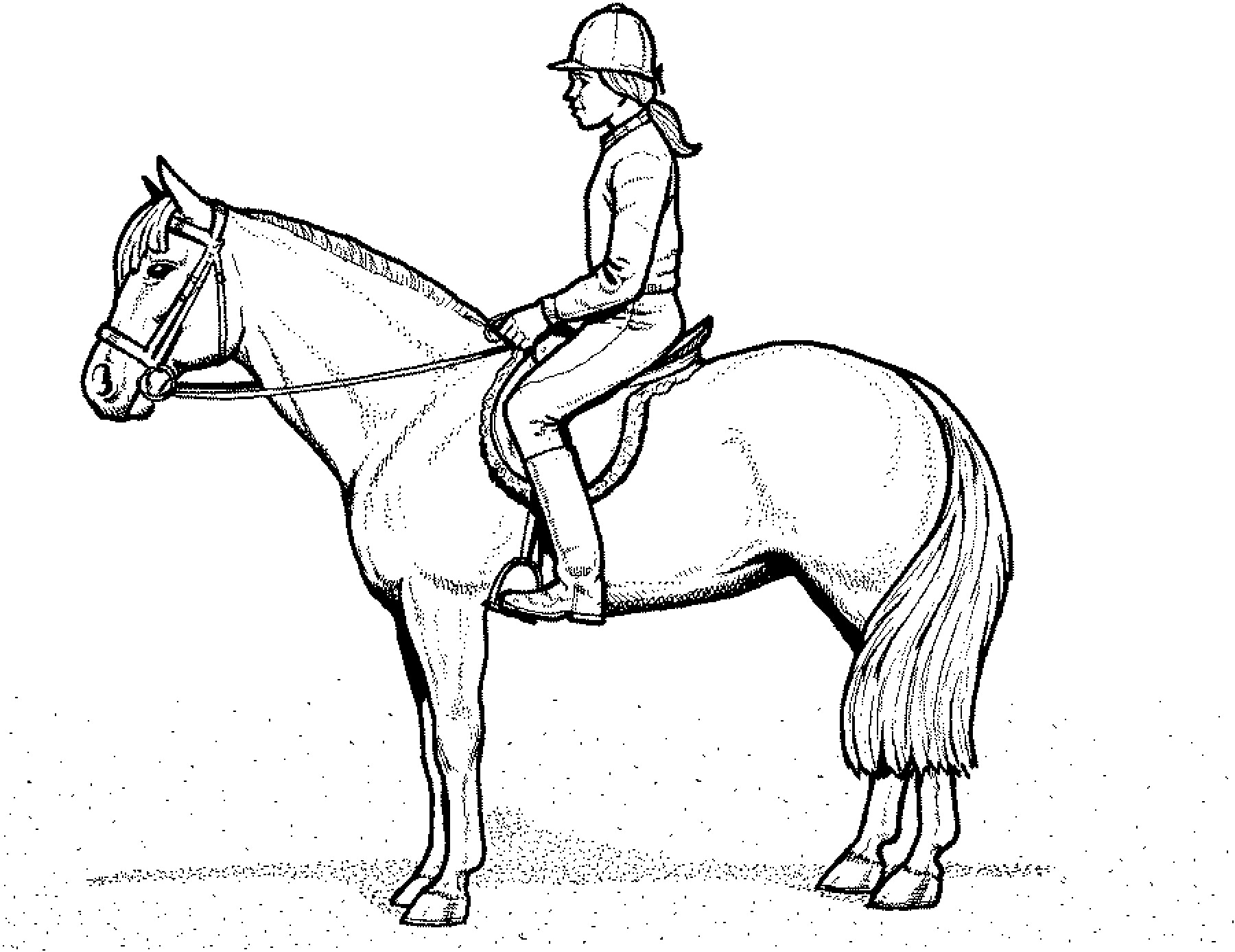 Horse Coloring Pages 316