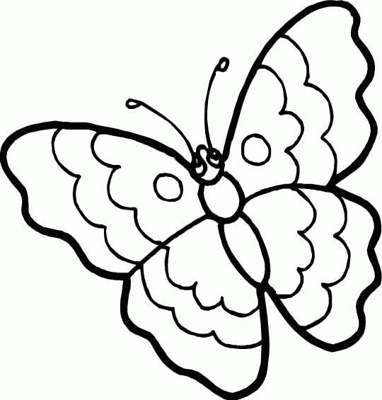 Schmetterling Ausmalbilder 1127
