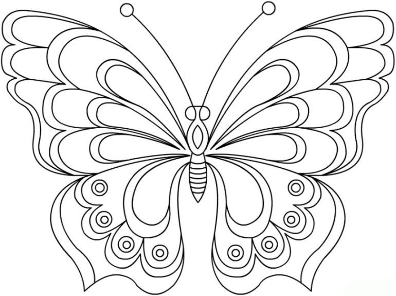 Schmetterling Ausmalbilder 1116