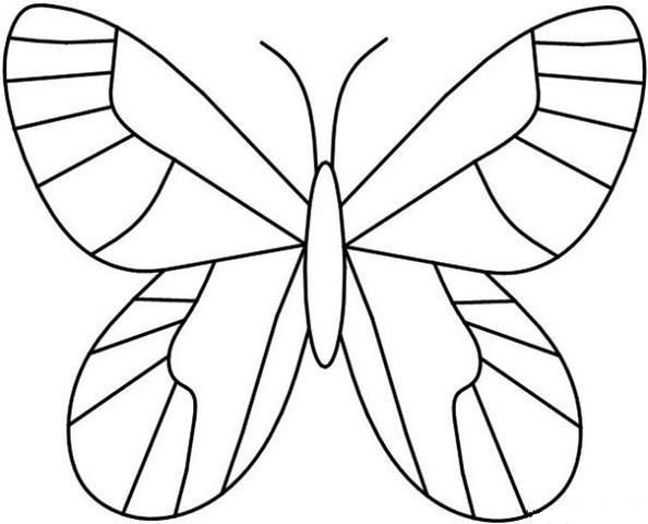 Schmetterling Ausmalbilder 1128