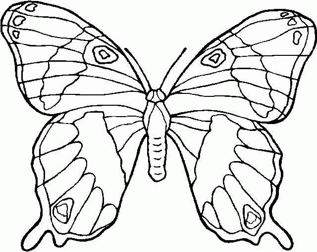 Schmetterling Ausmalbilder 1119