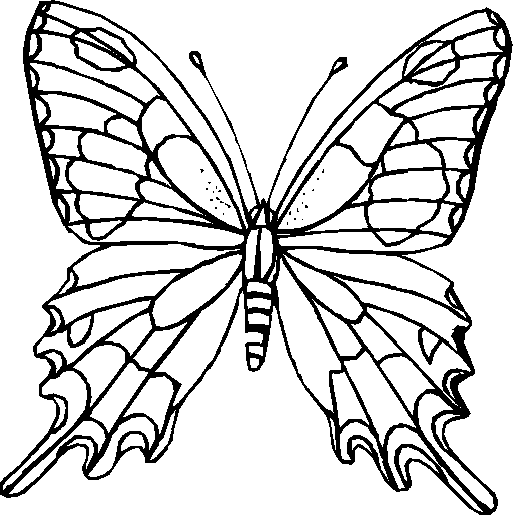 Schmetterling Ausmalbilder 1114