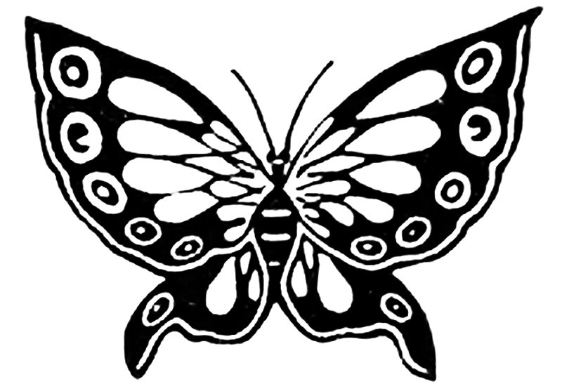 Schmetterling Ausmalbilder 1123