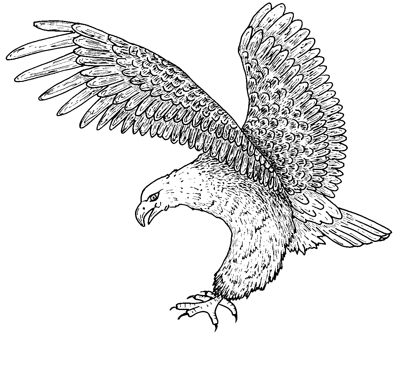 Adler Ausmalbilder 1834