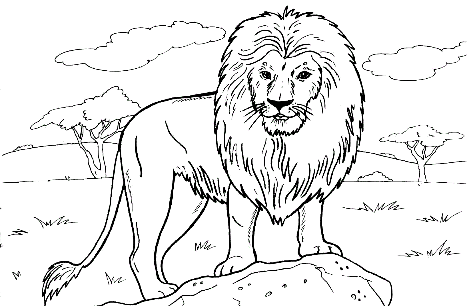 Löwen Ausmalbilder 2149