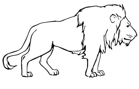 Löwen Ausmalbilder 2153