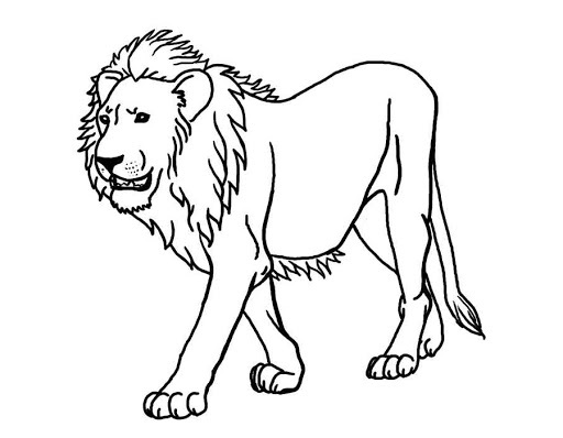 Löwen Ausmalbilder 2154