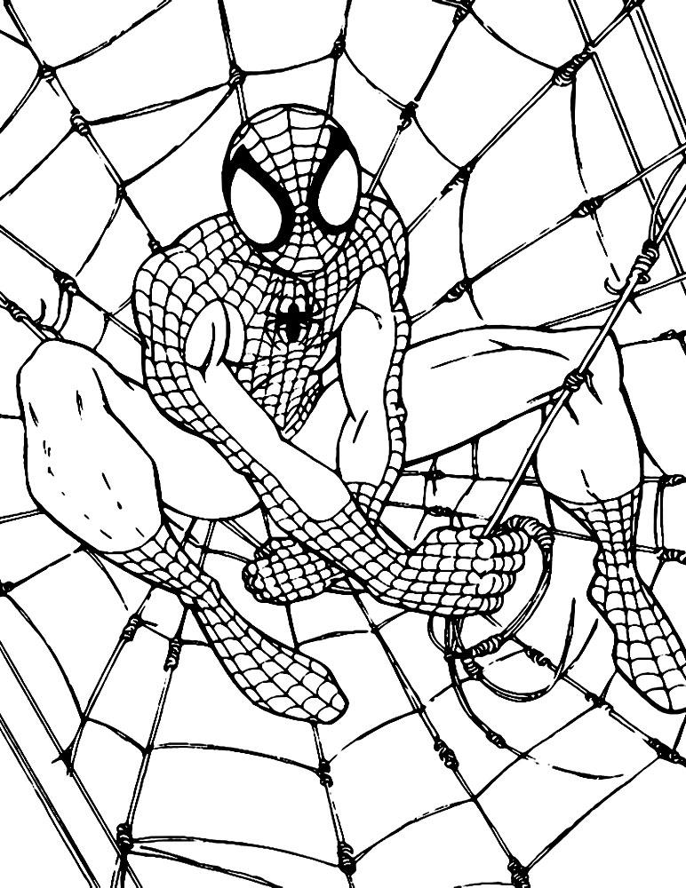 Spiderman Ausmalbilder 1826