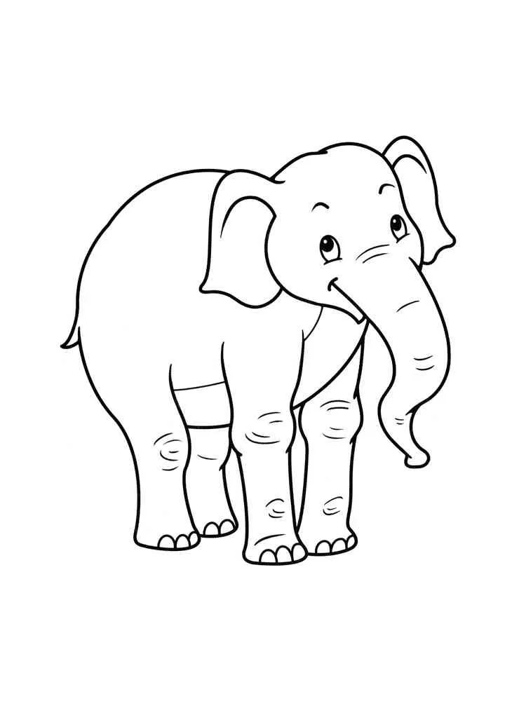 Elefant Ausmalbilder 2305