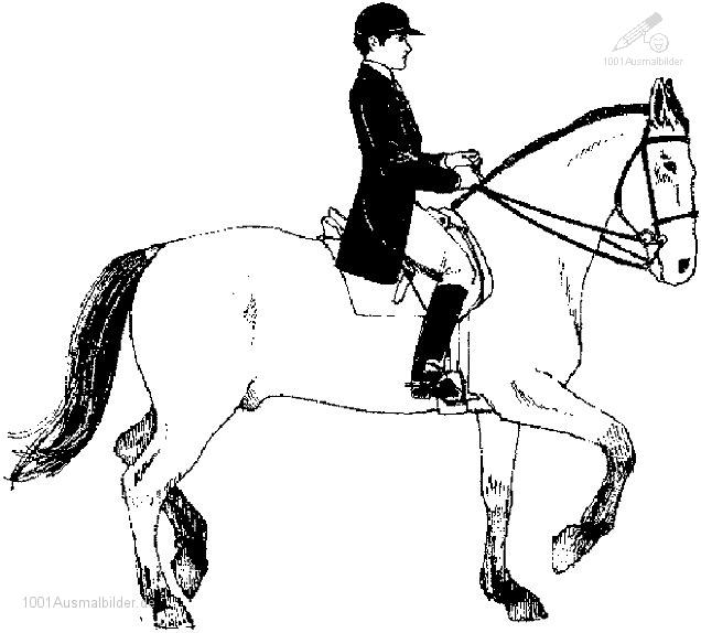 Horse Coloring Pages 174