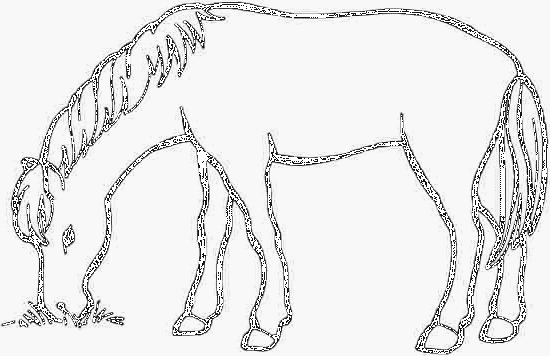 Horse Coloring Pages 165