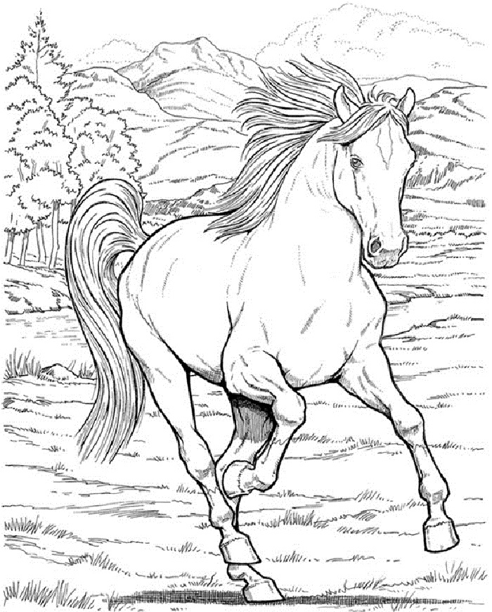 Pferde Ausmalbilder 109