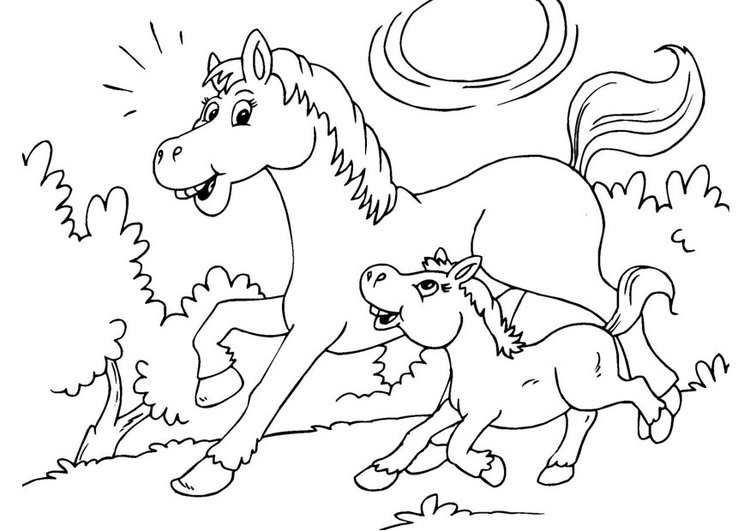 Horse Coloring Pages 187