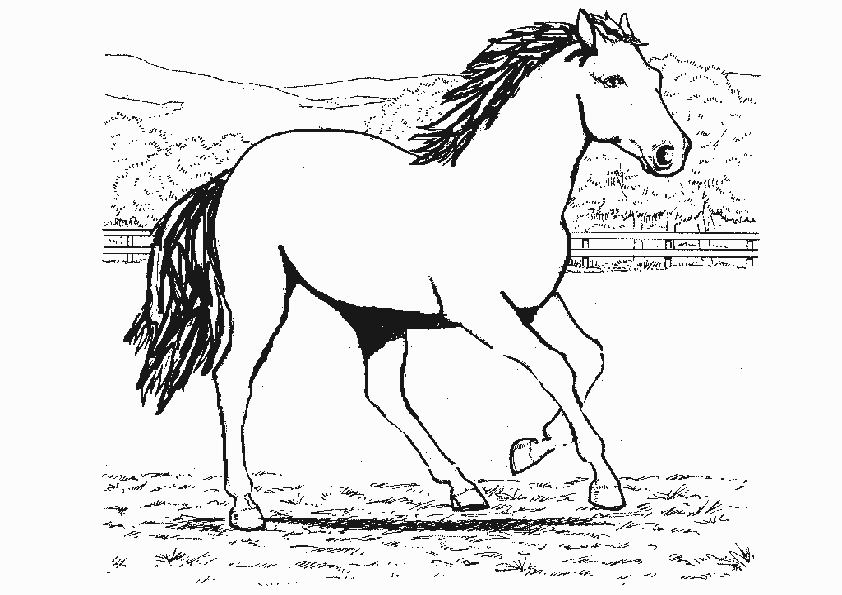 Horse Coloring Pages 202