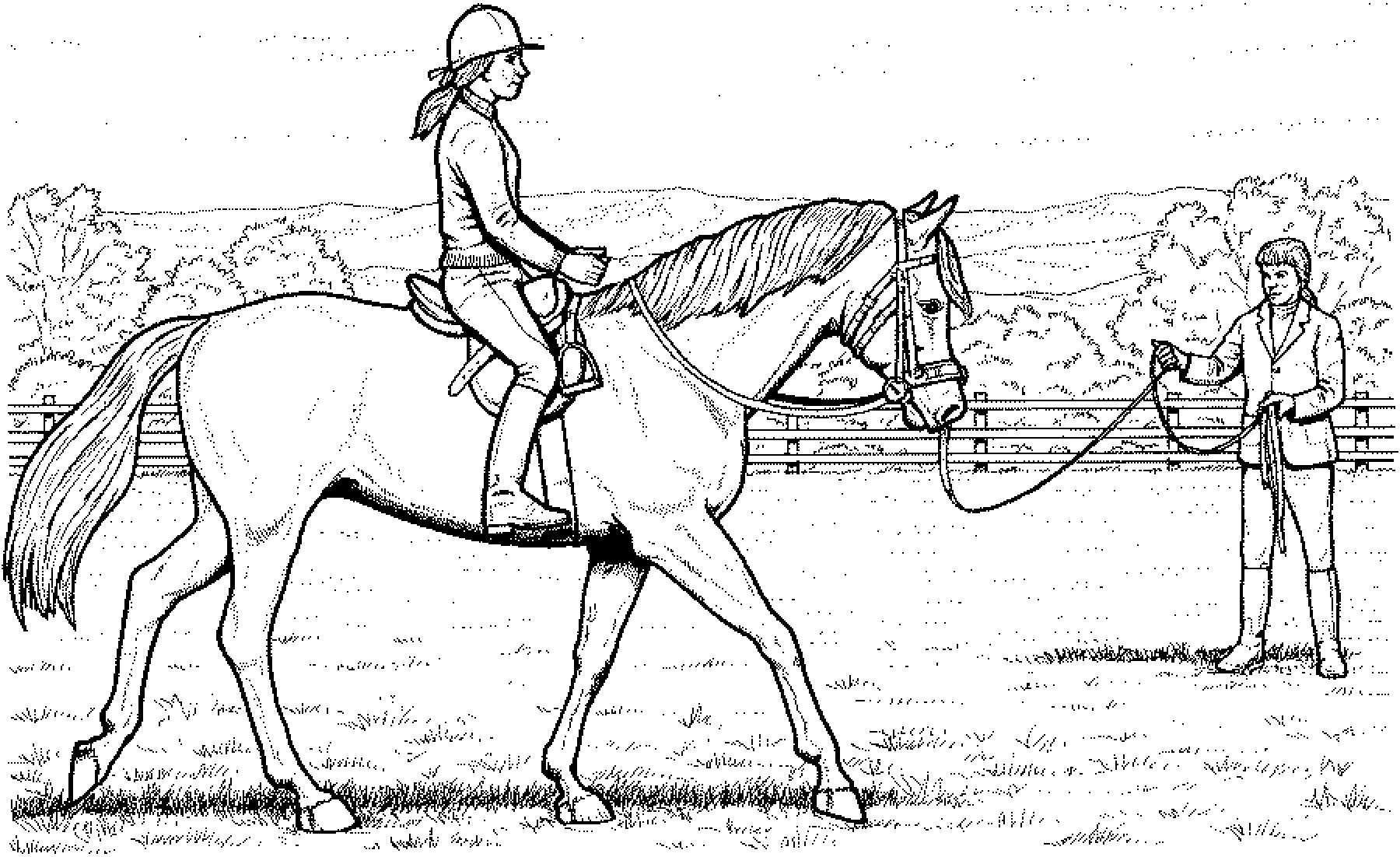 Horse Coloring Pages 182