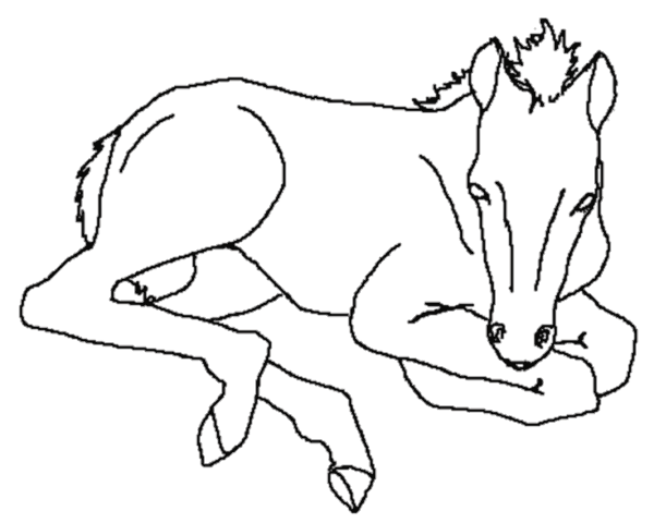 Horse Coloring Pages 156